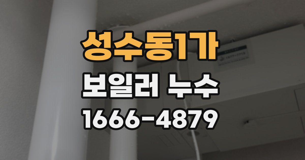 성수동1가 보일러 누수