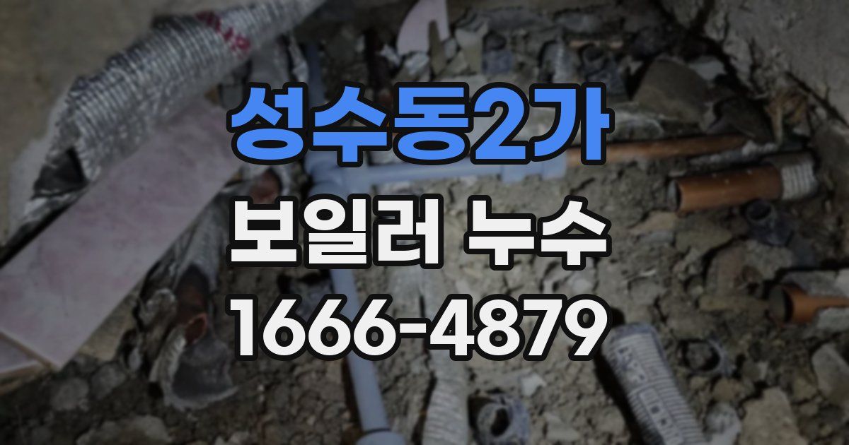 성수동2가 보일러 누수