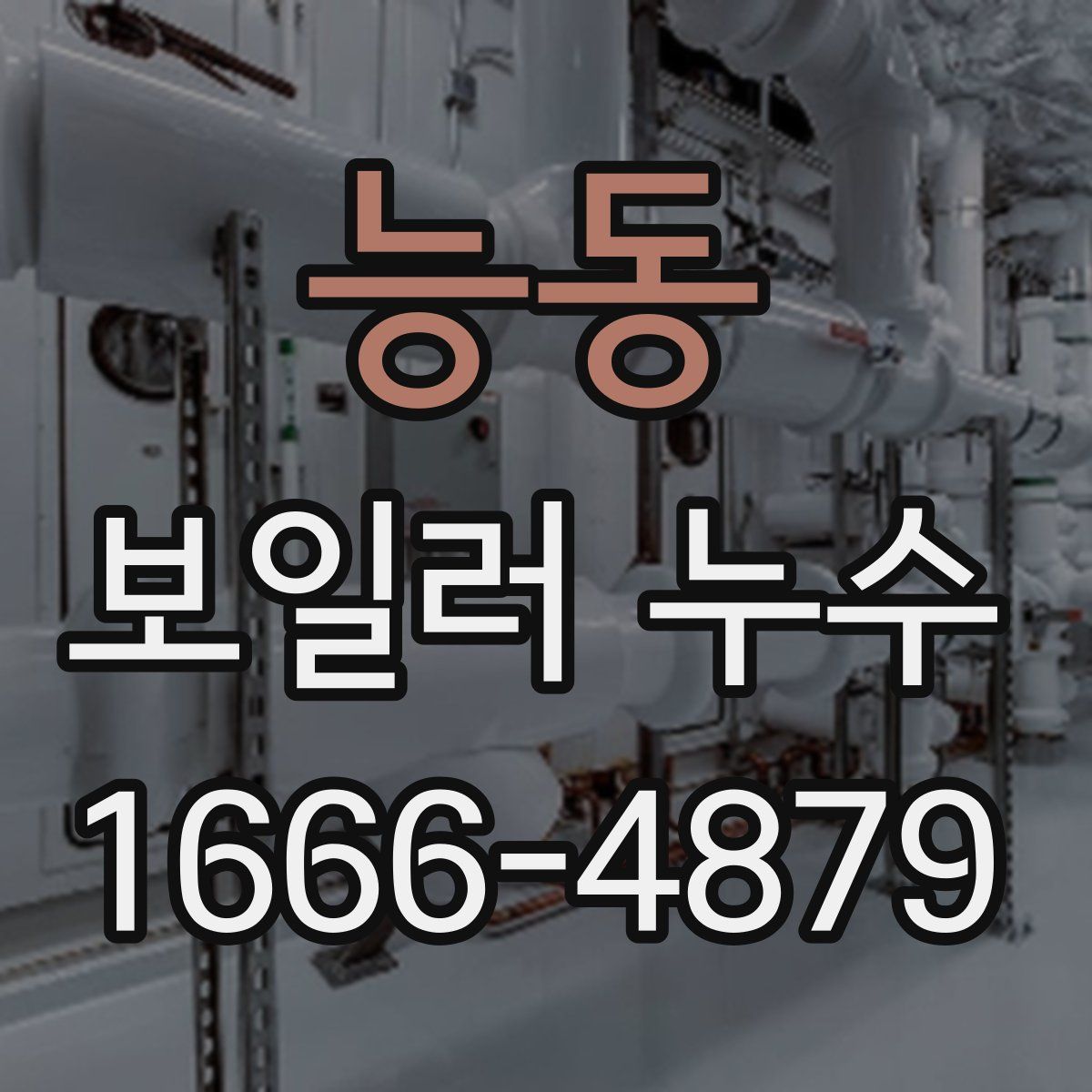 능동 보일러 누수