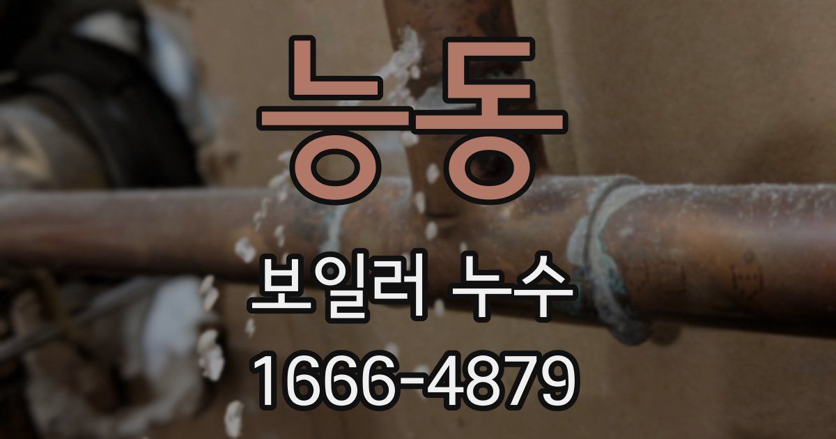 능동 보일러 누수