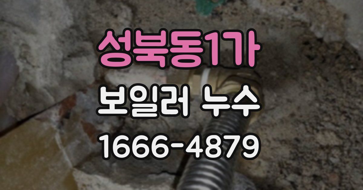 성북동1가 보일러 누수