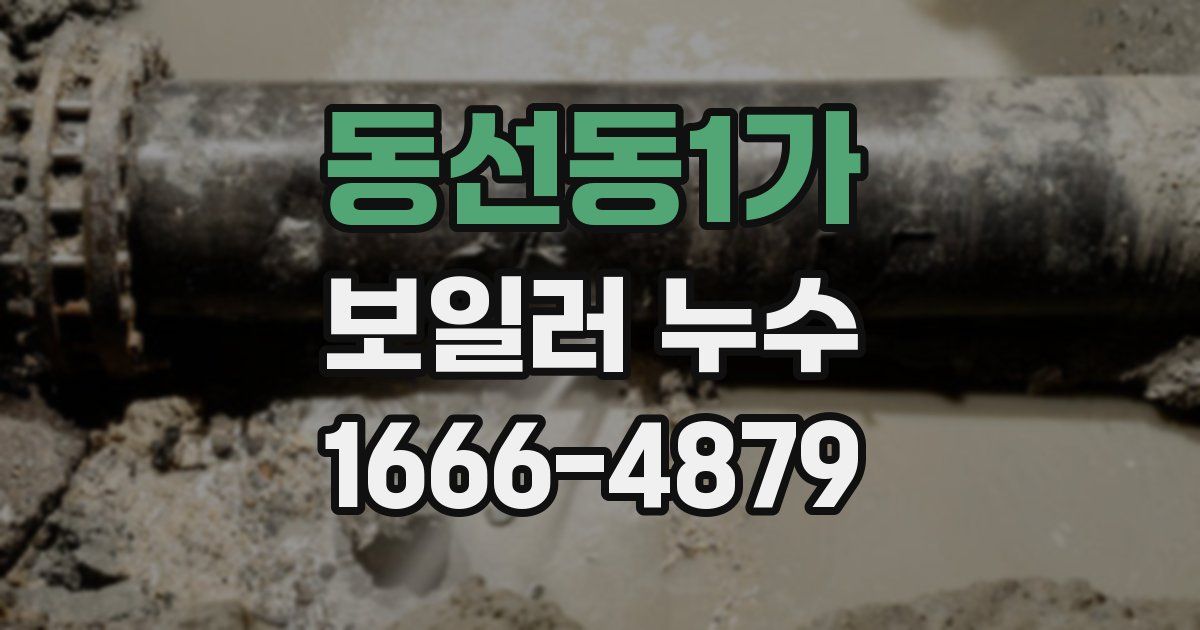 동선동1가 보일러 누수
