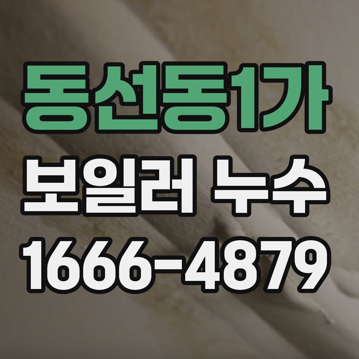 동선동1가 보일러 누수