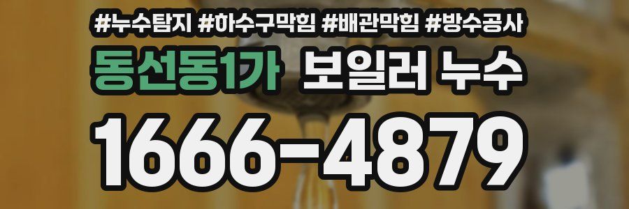 동선동1가 보일러 누수