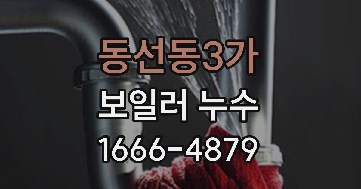 동선동3가 보일러 누수