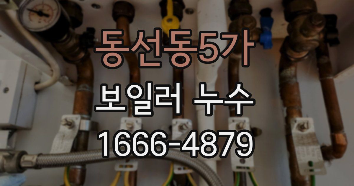 동선동5가 보일러 누수