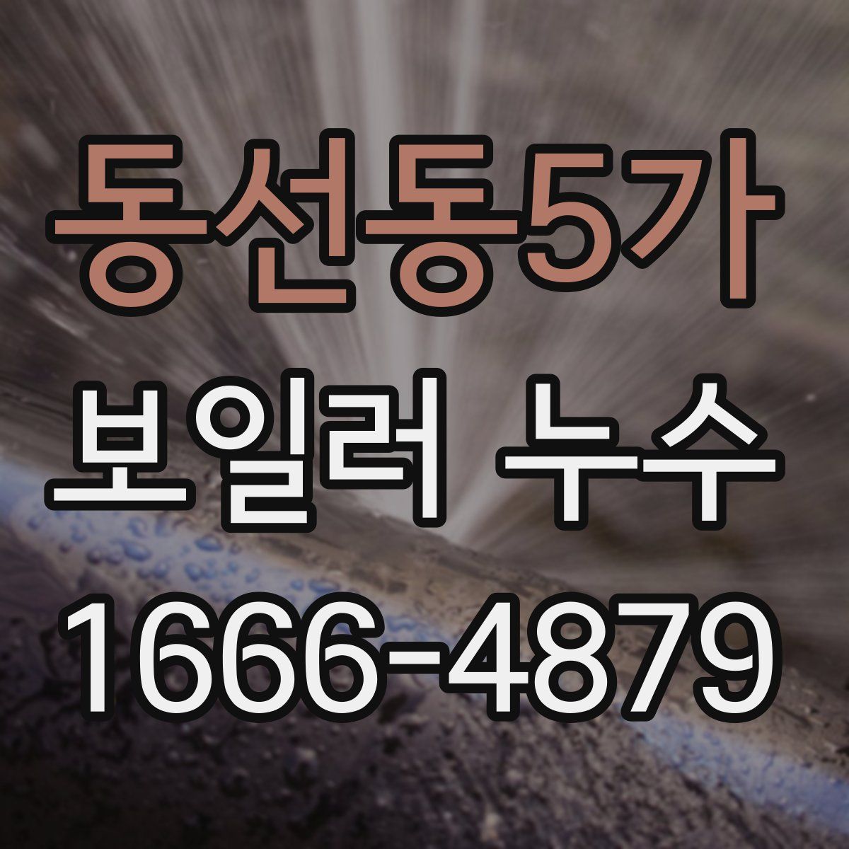 동선동5가 보일러 누수
