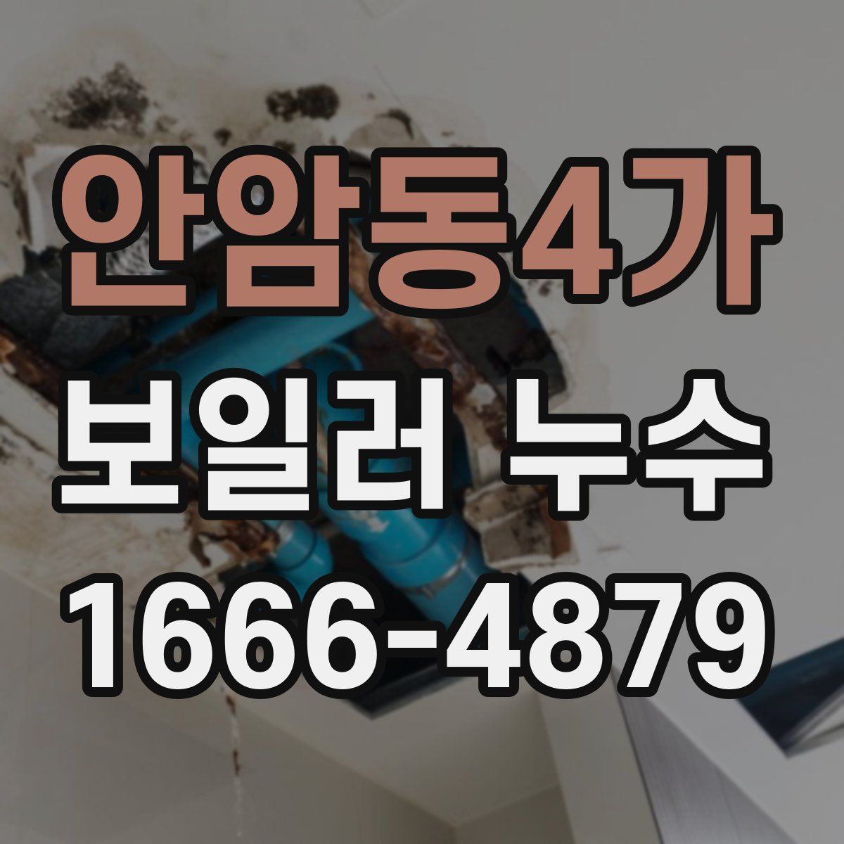 안암동4가 보일러 누수