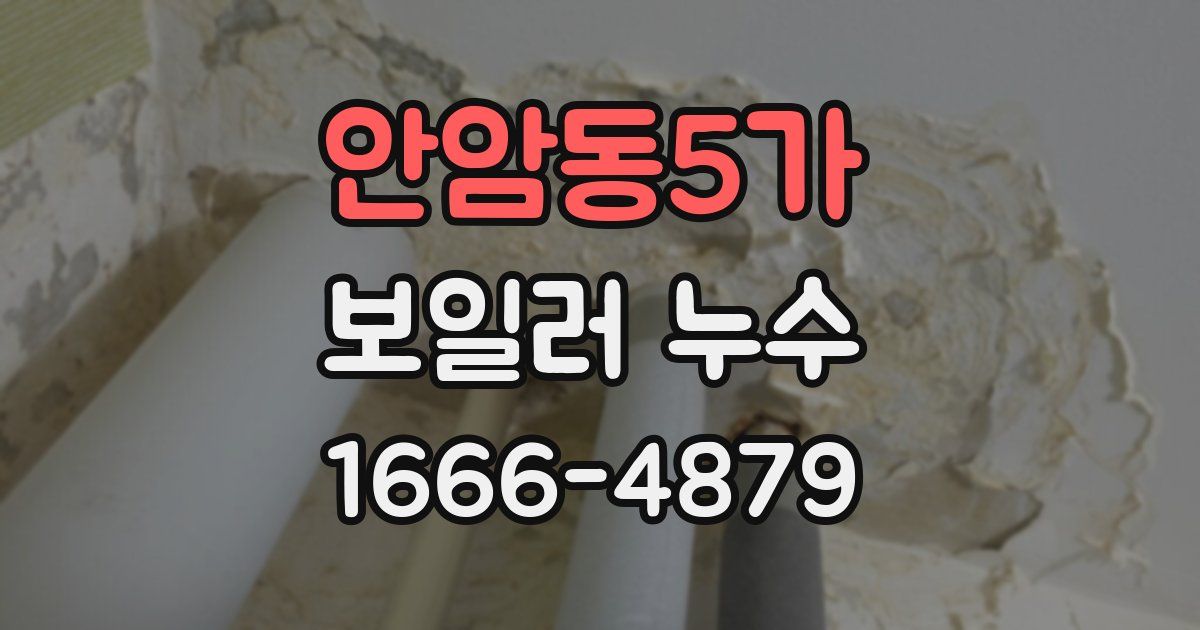 안암동5가 보일러 누수