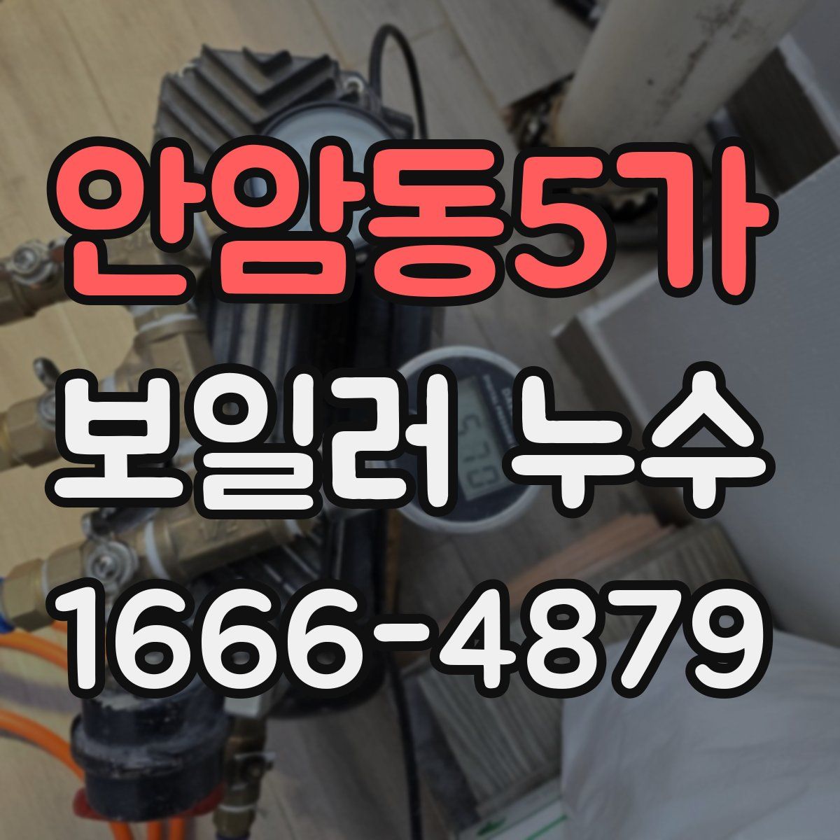 안암동5가 보일러 누수