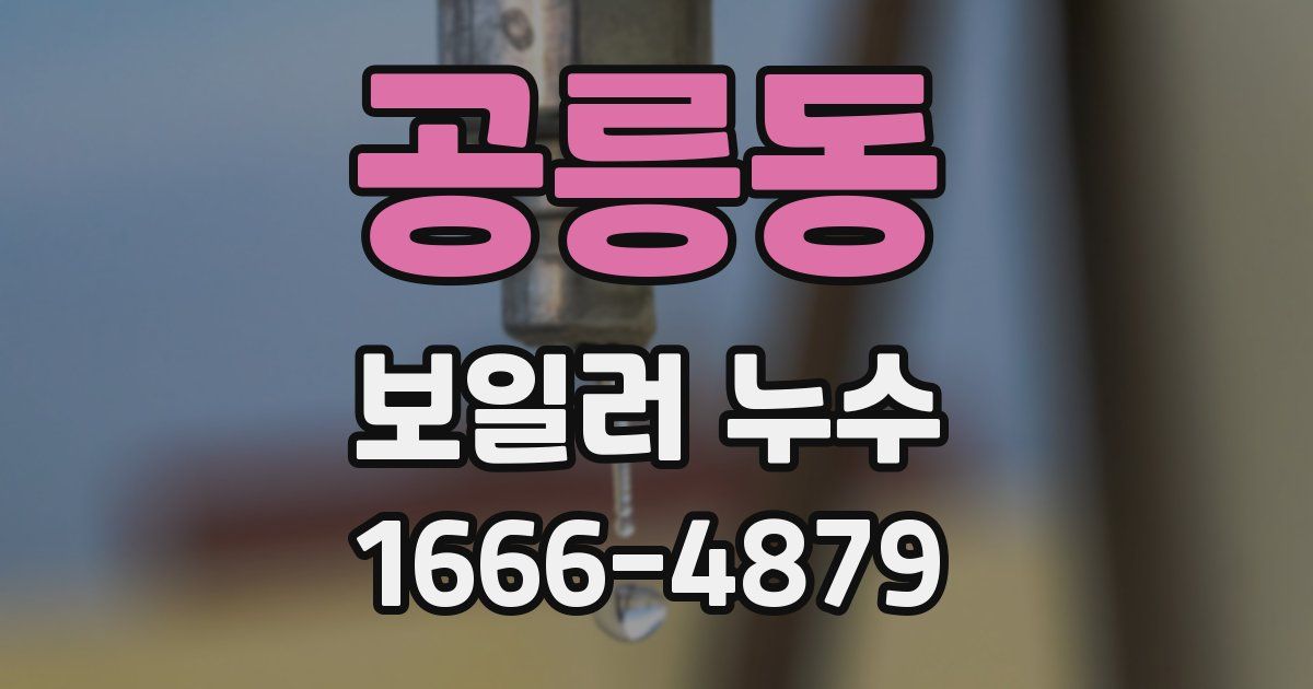 공릉동 보일러 누수