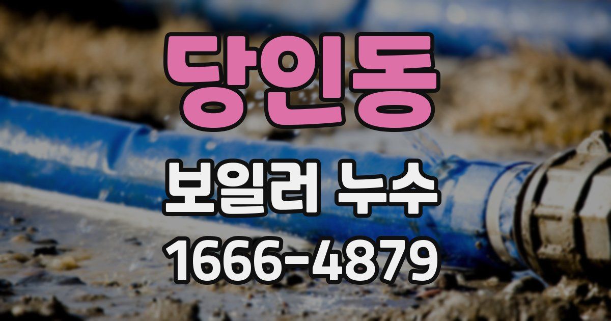 당인동 보일러 누수