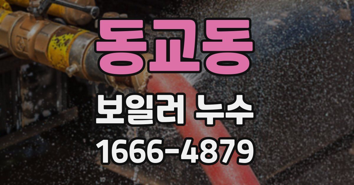 동교동 보일러 누수