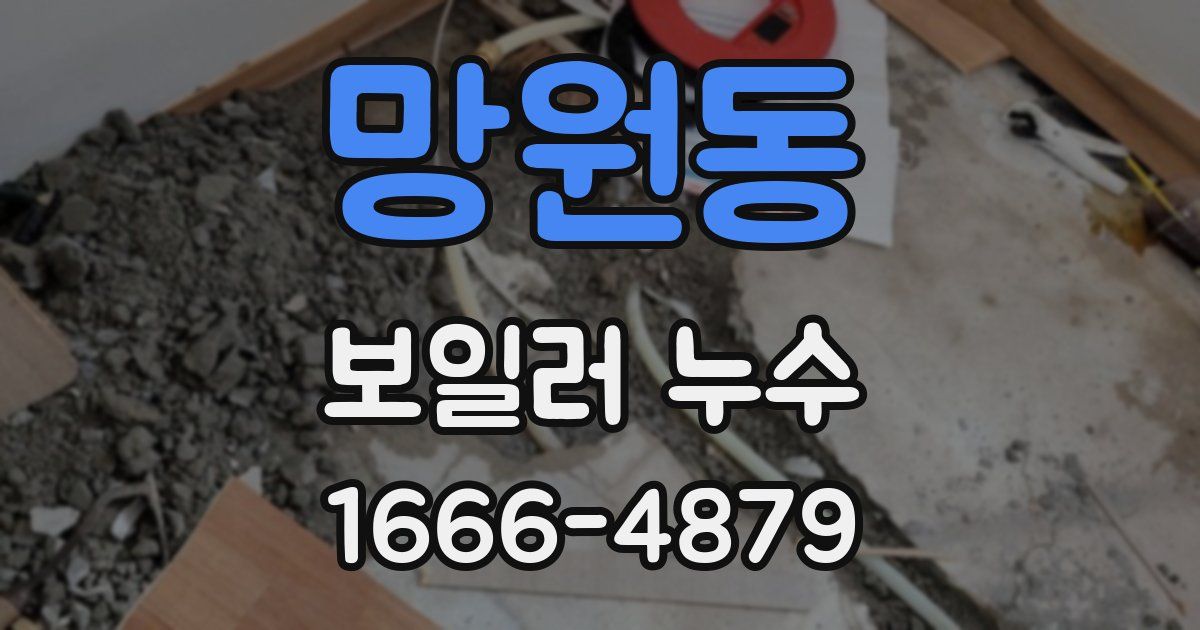 망원동 보일러 누수