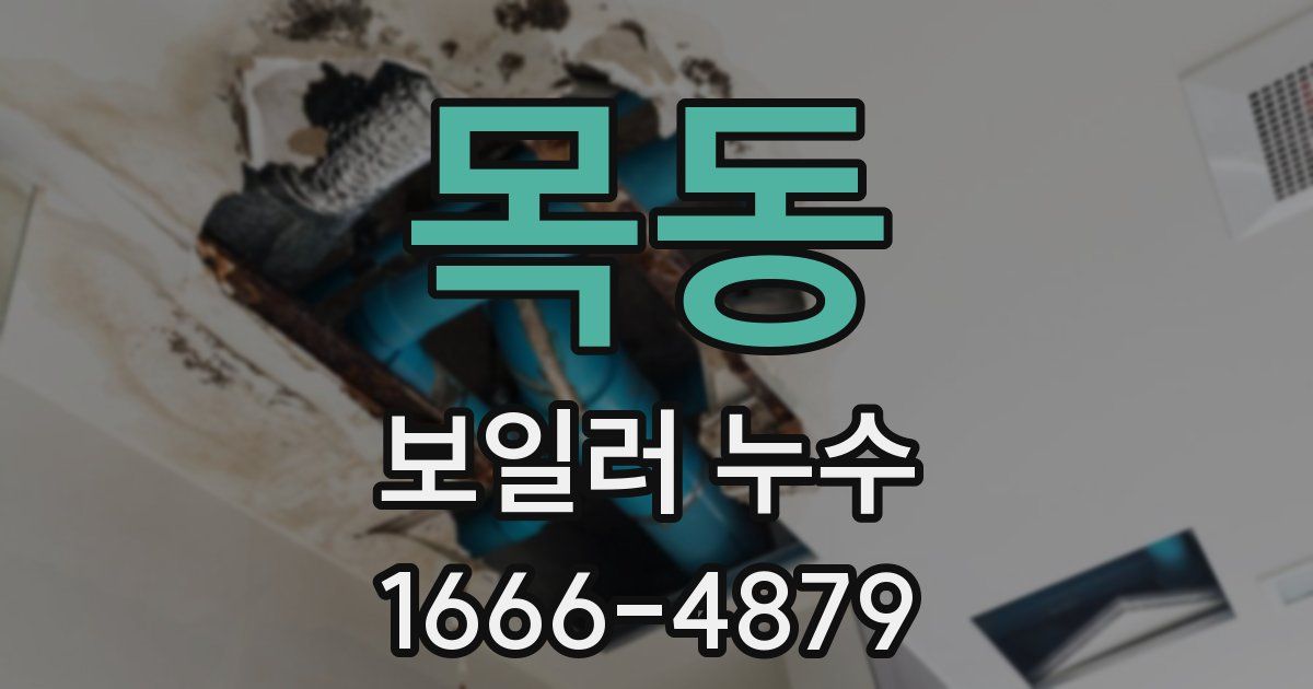 목동 보일러 누수