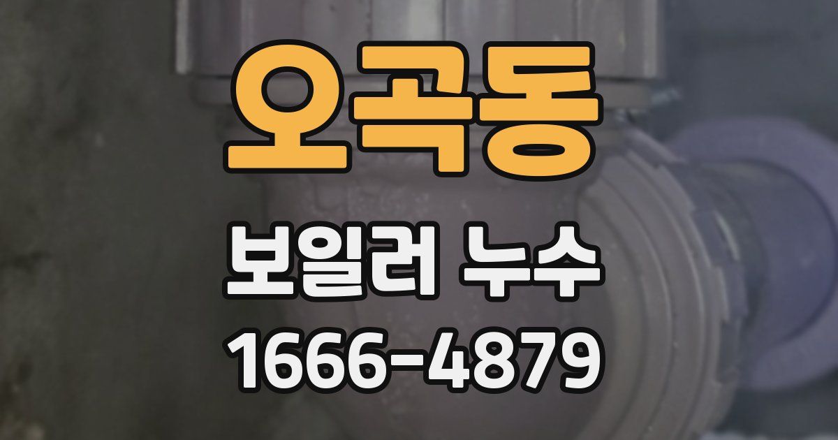 오곡동 보일러 누수