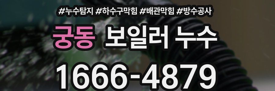 궁동 보일러 누수