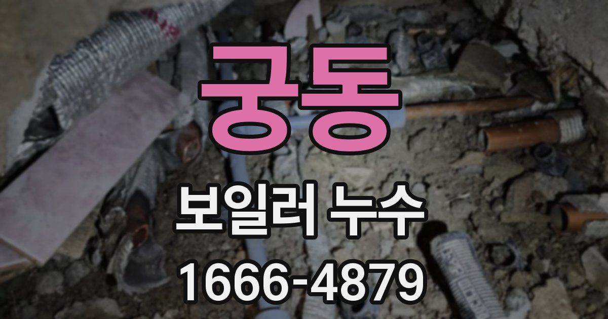 궁동 보일러 누수