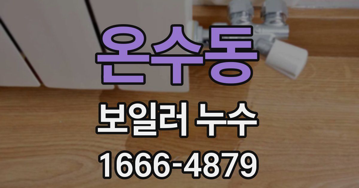 온수동 보일러 누수