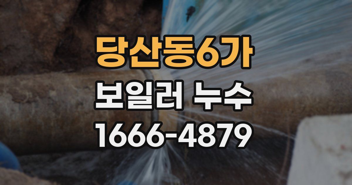 당산동6가 보일러 누수