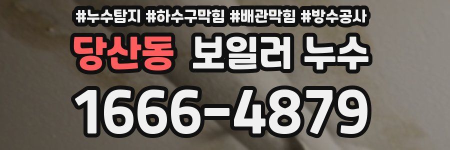당산동 보일러 누수
