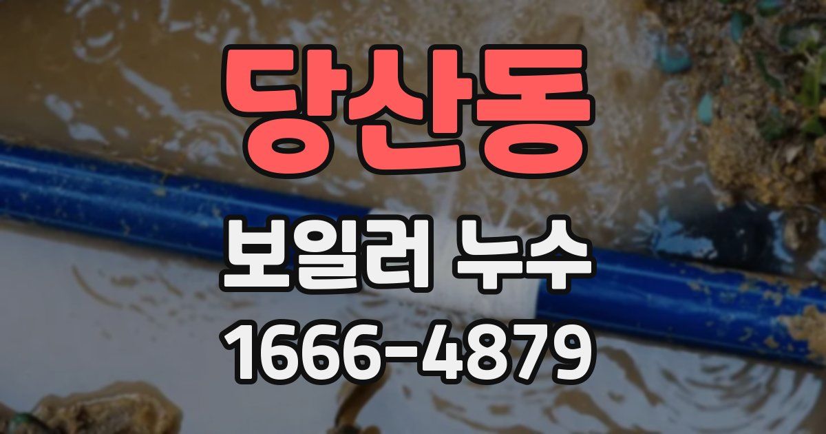 당산동 보일러 누수