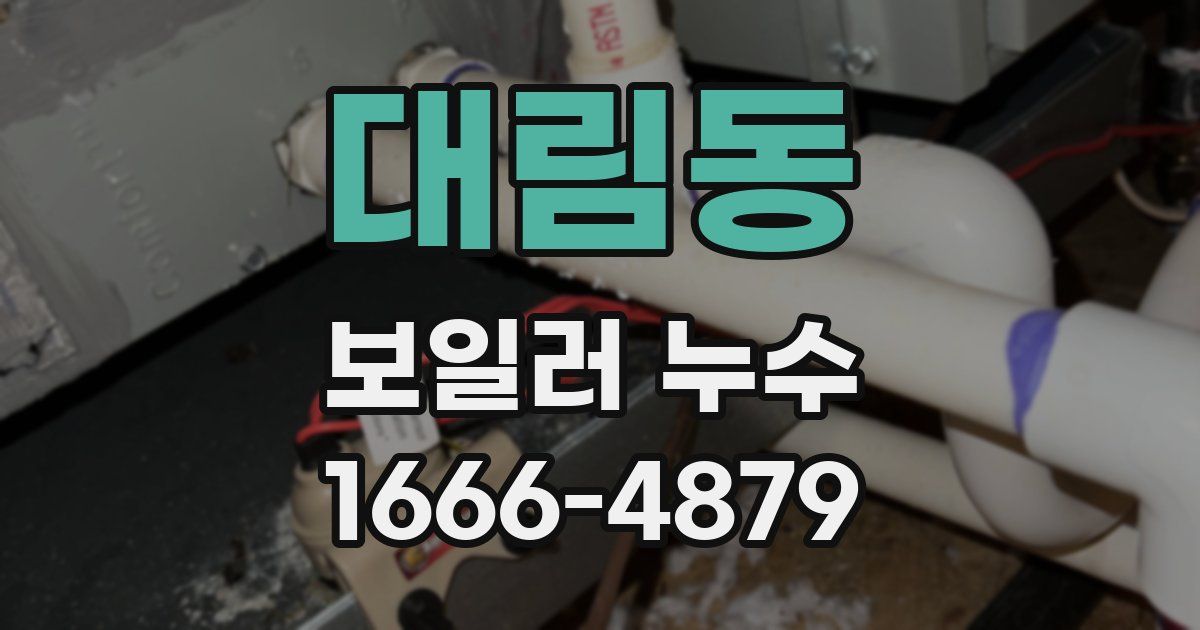 대림동 보일러 누수