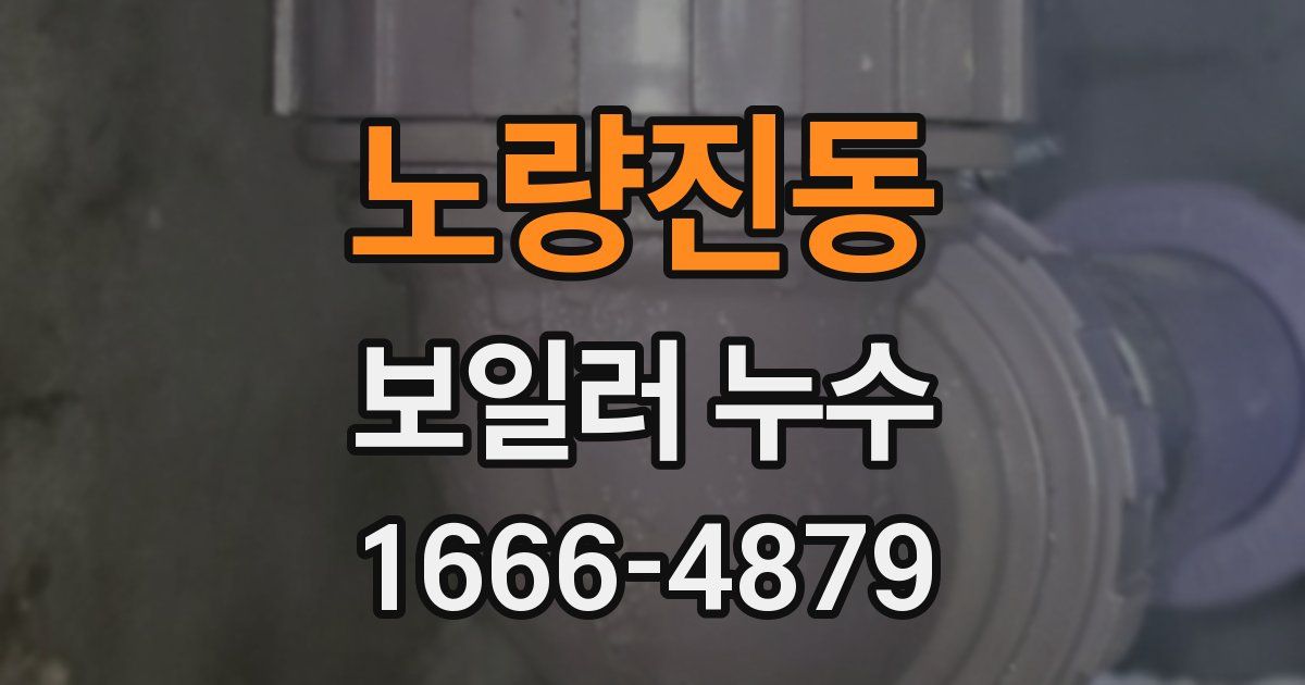 노량진동 보일러 누수