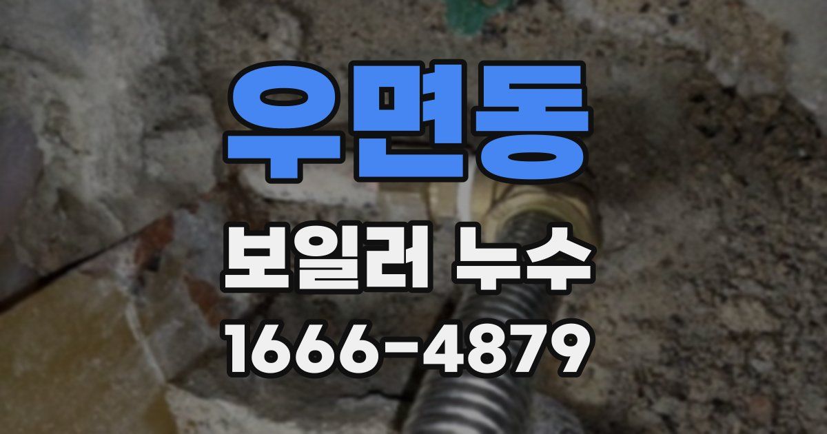 우면동 보일러 누수