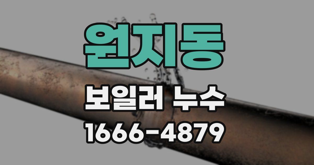 원지동 보일러 누수