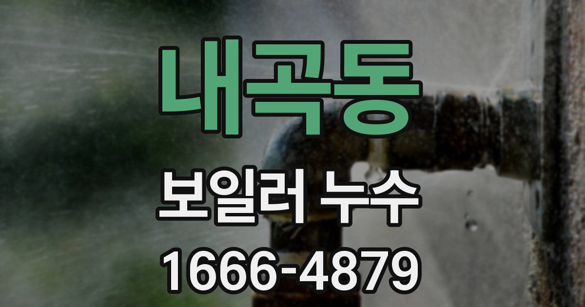 내곡동 보일러 누수
