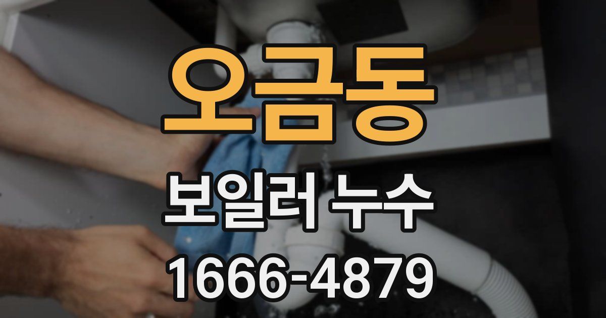 오금동 보일러 누수