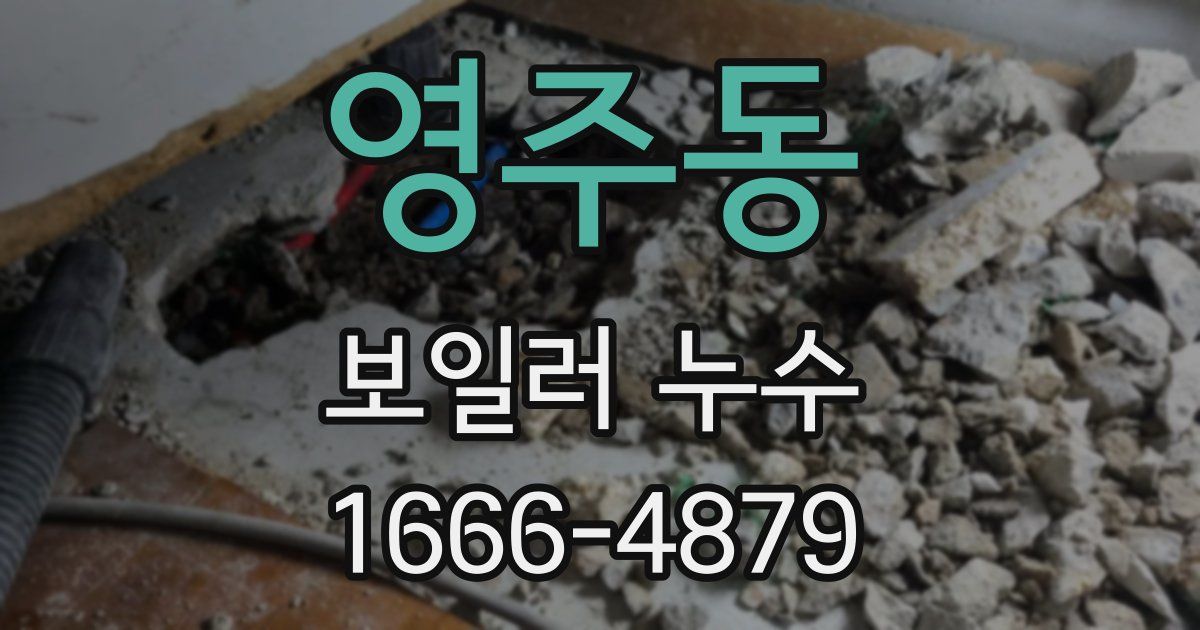 영주동 보일러 누수