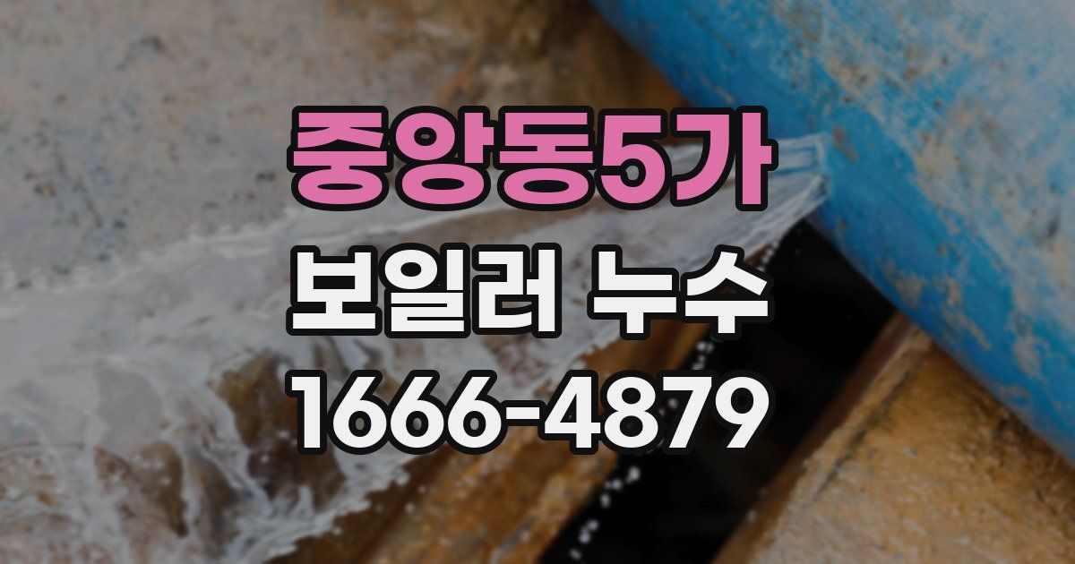 중앙동5가 보일러 누수