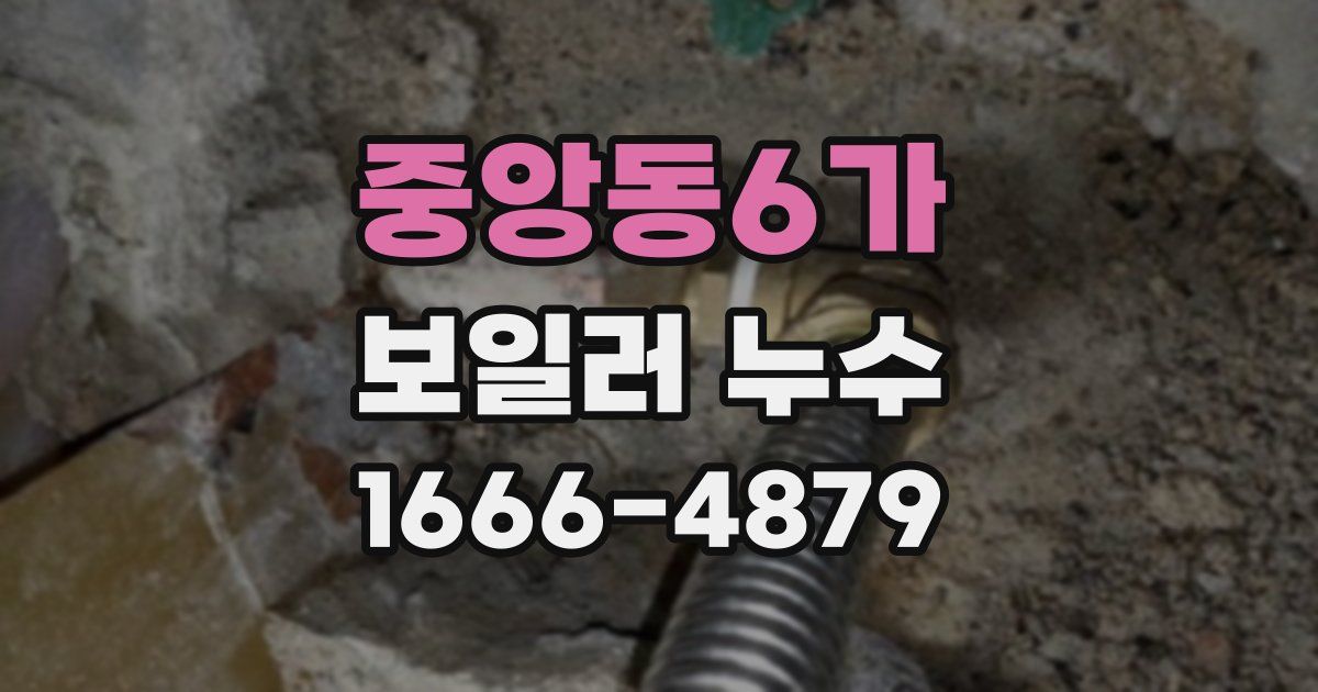 중앙동6가 보일러 누수