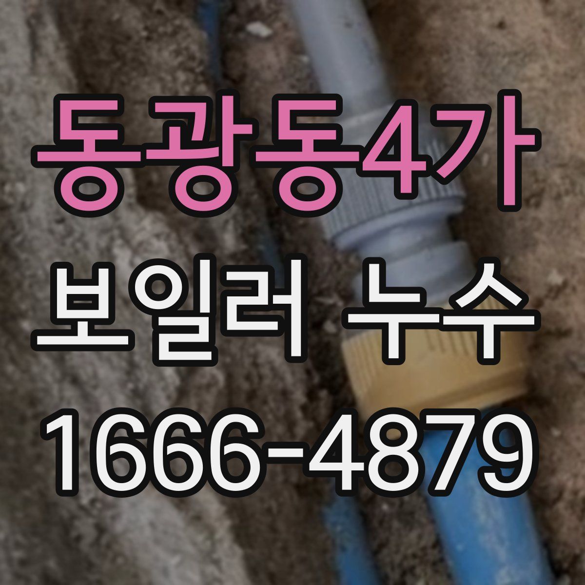 동광동4가 보일러 누수