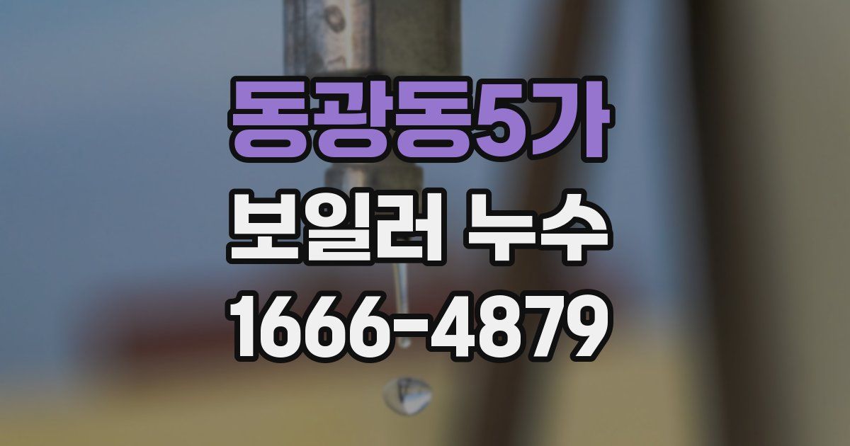 동광동5가 보일러 누수