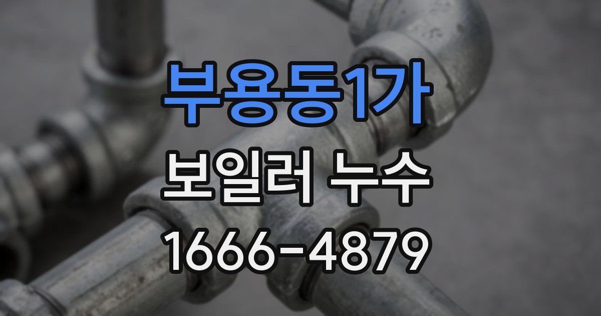 부용동1가 보일러 누수