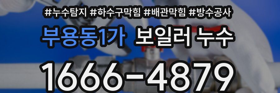 부용동1가 보일러 누수