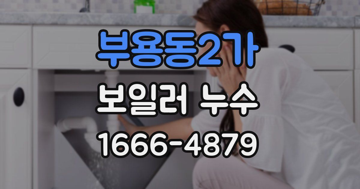 부용동2가 보일러 누수