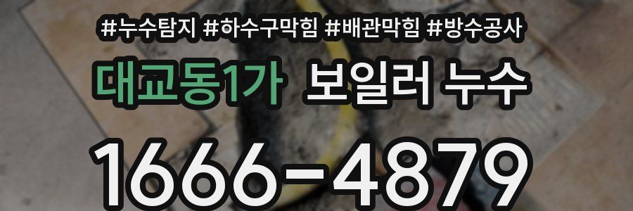 대교동1가 보일러 누수