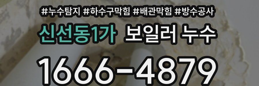 신선동1가 보일러 누수