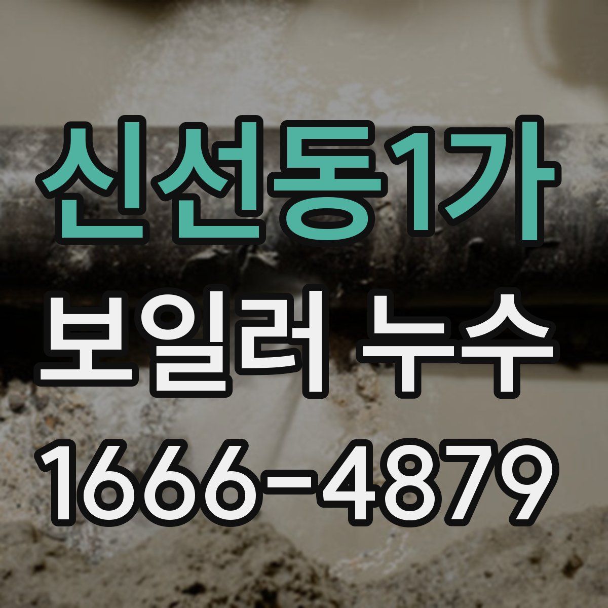 신선동1가 보일러 누수