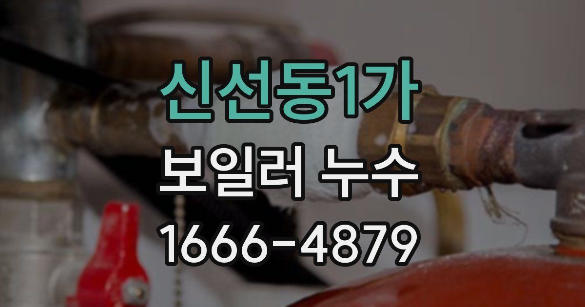 신선동1가 보일러 누수