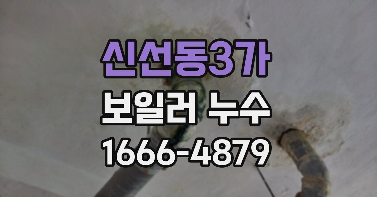 신선동3가 보일러 누수