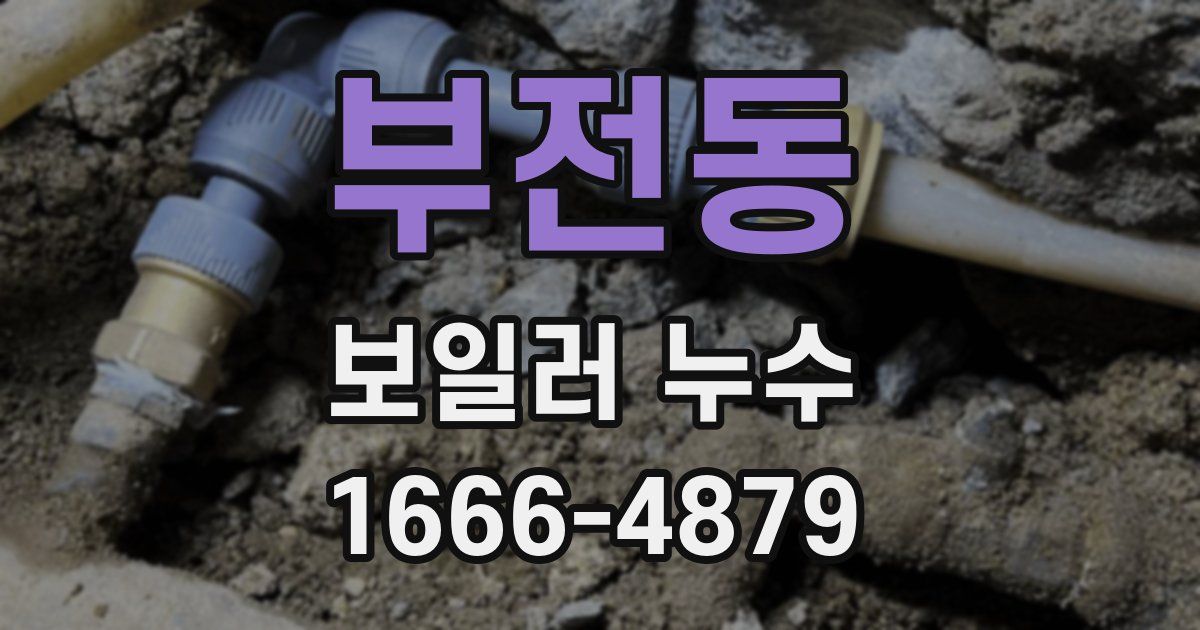 부전동 보일러 누수