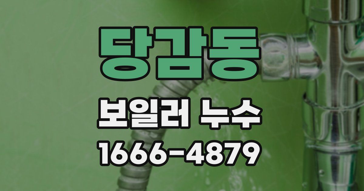 당감동 보일러 누수