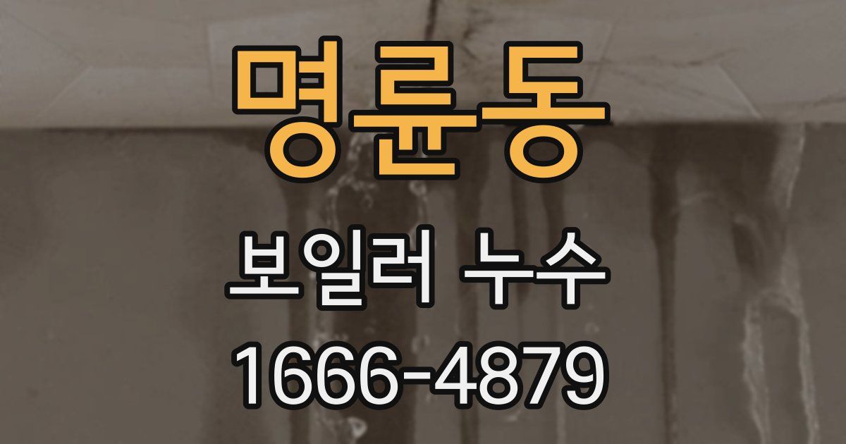 명륜동 보일러 누수
