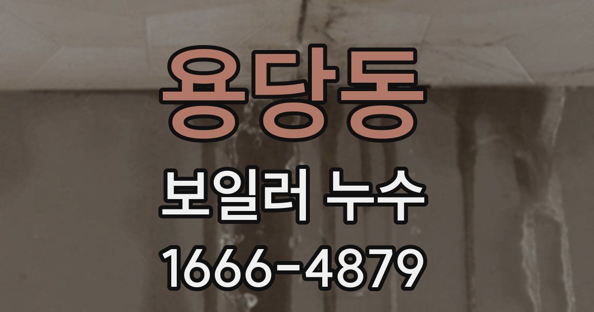 용당동 보일러 누수