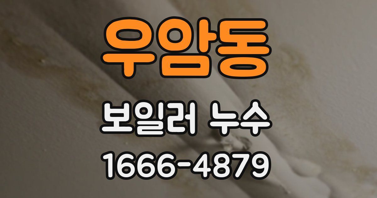 우암동 보일러 누수